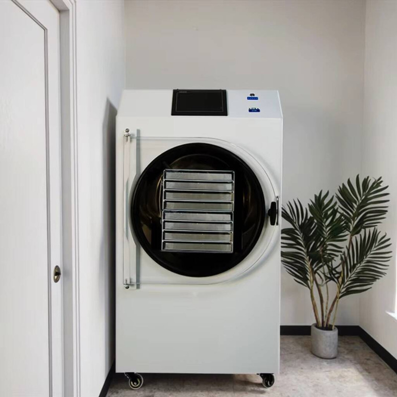 Otomatik PLC Kontrollü Kurutma - Dried Fruit incelemesi ve fiyatı